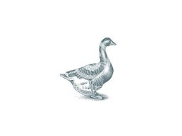 goose icon